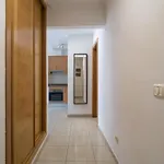 Remote Workers House By Canariasgetaway * 大加那利岛拉斯帕尔马斯